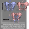 Illustrated Guide to Bicycle Seats ebook - Image 2