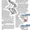 Illustrated Guide to Bicycle Seats ebook - Image 3