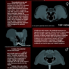 Illustrated Guide to Bicycle Seats ebook - Image 4